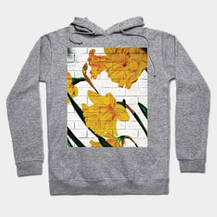 Daffodils on a white brick wall Hoodie